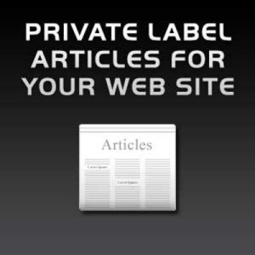 Product picture Buy Quality PLR Articles Niche Elderly Care